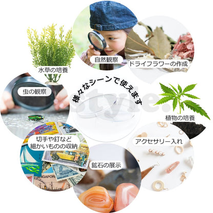 Pstyle. シャーレ プラスチック 皿 ペトリ皿 クリア 55mm 10個セット PST-042