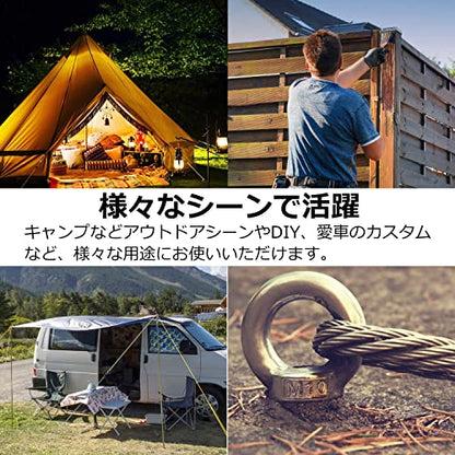Pstyle. アイナット M10 天井 ネジ フック ステンレス 金具 10個セット PST-094