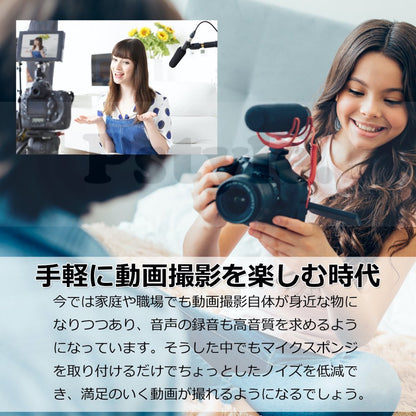 Pstyle. マイク スポンジ カバー 風防 内径20mm 2個セット PST-036