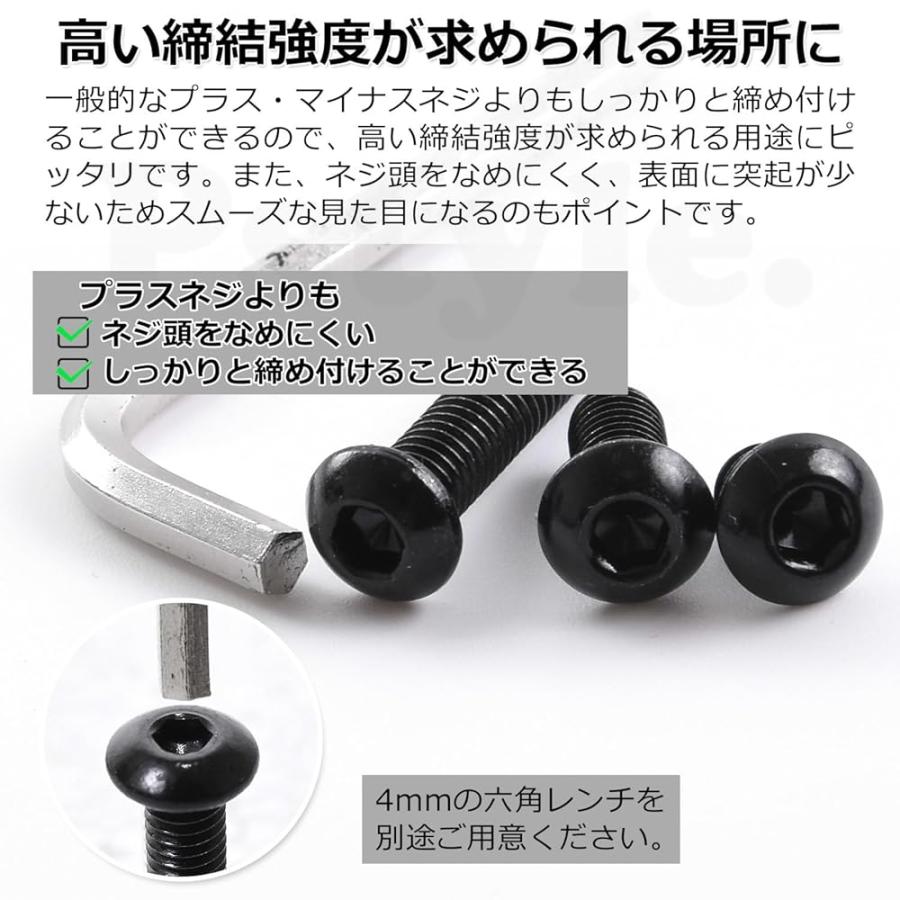 PST-179 M6x18mm 05